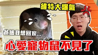 女友害寵物鼠不見了，男友回家大爆氣！情侶互整PRANK【維特】｜同居日記