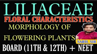 LILIACEAE: MORPHOLOGY OF FLOWERING PLANTS ( BOARD 11TH & 12TH ) + NEET LEVEL BY SAHIL SIR