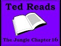 The Jungle Upton Sinclair Chapter 16