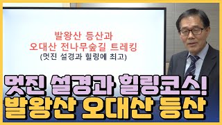 멋진 설경과 힐스코스 발왕산 등산과 오대산 전나무숲길 트레킹 설명