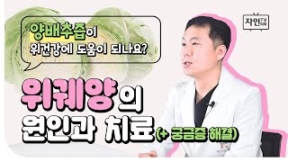 [자인TV]양배추즙이 위건강에 얼마나 도움이 될까? - 위궤양 궁금증 해결