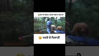 ਖਤਰਿਆਂ ਦੇ ਖਿਡਾਰੀ 😂😂😂😂 #shorts #viral #trending #punjabi #funny #funnyvideo