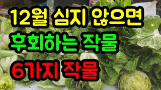 김장배추 수확한 자리 12월에 심어도 잘 자라는 작물 6가지 안 심으면 후회해요