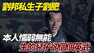 劉邦私生子劉肥，本人懦弱無能，生的兒子卻個個英武   #歷史 #歷史故事