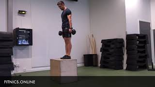 Dumbbell Reverse Lunge into Box Step Up