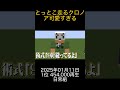 マイクラ 日常組 とっとこ走るクロノア可愛すぎる 2025年01月11日 01