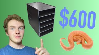 Building Reptile Basics Snake Racks *CHEAP*