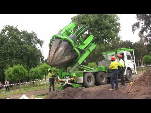Tree Transplanting with ArborCo Melbourne.m4v Tree Transplanting with ArborCo Melbourne.m4v