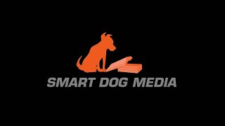 Fox Alternative Entertainment/Smart Dog Media/MBC (2021)