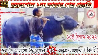 ডুমুরশোল আসরের ১নং কাড়ার শেষ প্রস্তুতি । ১লক্ষ্য ২৫ হাজার টাকার লড়াই ।