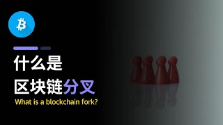 什么是区块链分叉？What is a blockchain fork?