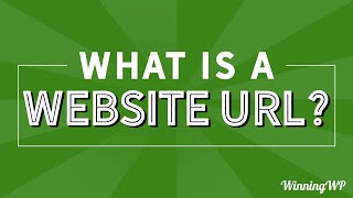 What Is A Website URL?