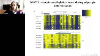 Kathryn Wellen -  Metabolic reprogramming links to the epigenome