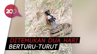 Penemuan 2 Jenglot Gegerkan Warga Sragen!