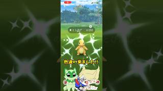 【ポケモンGO】ヒトカゲの色違いメス厳選や！！！