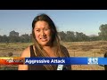 aggressive air and ground attack in colusa stops wildfire spread