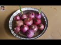 magical way to grow green onion in just few days how to grow green onion at home mars hydro ts 3000