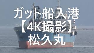 ガット船入港【4K撮影】松久丸