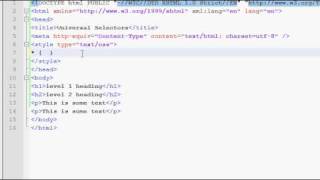 CSS Universal Selectors Tutorial