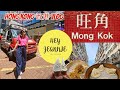 Hong Kong Vlog 🇭🇰 | Mong Kok Madness: Exploring Hong Kong's Busiest Neighborhood & Dim Sum Frenzy!