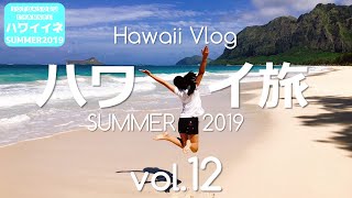 【ハワイイネ2019】家族ハワイ旅（vol.12）～Hawaii Vlog 2019 Summer～『ワイマナロビーチが最高すぎ！波にもまれてはしゃぎまくる編』※編集しながらマウナケア問題を考える