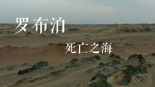 罗布泊，曾经的地球之耳，如今的死亡之海 一个看似寸草不生的生命禁区，一个挺起国人脊梁的无人荒原，罗布泊却从来不缺访客#旅行推荐官 #山河 #保持热爱奔赴山海#旅行