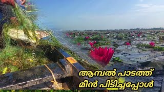 ആമ്പല്‍ നിറഞ്ഞ പാടത്തു വലയിട്ടപ്പോൾ|Earth Lovers Media|Real life vlog