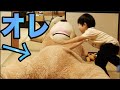 ぬいぐるみがいきなり動き出すドッキリ【3歳】