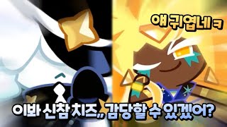 로드롤러 vs 신참 골드치즈 쿠키🔥