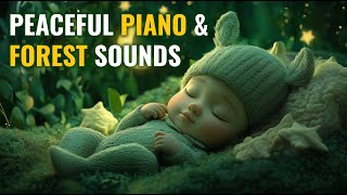 🌿 Soothing Lullaby: Piano & Forest Sounds for Deep Sleep 🎹💤