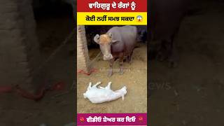 ਵਾਹਿਗੁਰੂ ਜਰੂਰ ਲਿਖੋ ਜੀ Short video