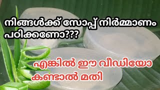 ഈ വീഡിയോ കണ്ടാൽ ആർക്കും സോപ്പ് ഉണ്ടാക്കാം#soapmakingclass #soap #soapmakingforbeginners