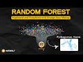 Random Forest Explained Visually | Machine Learning Algorithm with Orange Data Mining Software