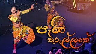 පැණි කුරුල්ලනේ  | Dance | Shashila Dance Troupe Melbourne | Milton Mallawarachchi