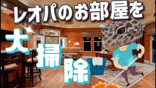 レオパの部屋の大掃除のおすすめ方法〜