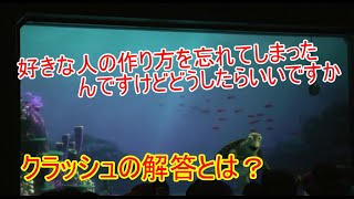 🔵好きな人の作り方を忘れてしまった【タートルトーク】東京ディズニーシー