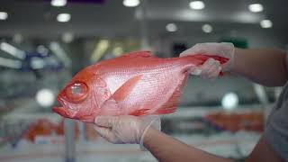 Sydney Waterfront Australia - Always On - The Sydney Fish Market