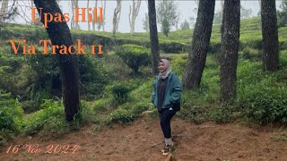 Upas Hill Via Track 11, 16 Nov 2024, nyobain lewat Tanjakan Ucup