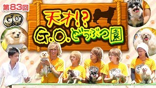 【ペット集合】天才!? G.O.どうぶつ園【子犬たち】 ｜【第83回】G.O.チャンネル