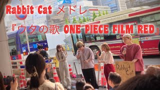 “ Rabbit Cat （ラビットキャット） ” 新宿路上ライブ ・ 『ウタの歌 ONE PIECE FILM RED』メドレー 【 男女混声 5人組 アカペラグループ 】