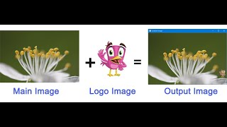 Digital Image Watermarking In Python Project With Source Code
