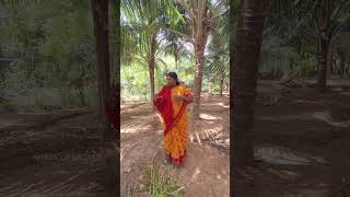 நம்ம தென்னை மரத்துக்கு வட்ட பாத்தி எடுத்துட்டோம்😍!! | Farm House💥 #lifestyle #tamil