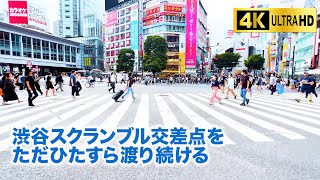 渋谷スクランブル交差点をただひたすら渡り続ける動画 Shibuya Scramble Crossing (4K)