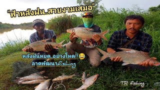 ตกปลาหน้าดินหมายธรรมชาติ #แม่น้ำชี #ลาดพัฒนาfishing ชิวๆ กินข้าวป่า งัดปลาตะโกก หลังฝนหยุด!!