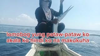 Pataw-Pataw sa balo or needlefish