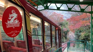 摩耶ケーブルからみる紅葉が美しすぎる❷ #shorts Beutiful Autumn leaves @KOBE