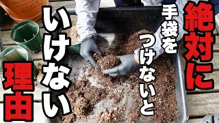 この動画でよくわかります　【園芸超人カーメン君】