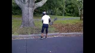 Longboarding and Shuffling all in one - Bail