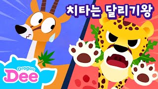 치타는 달리기왕 | 치타송 🐆 | 치타와 가젤의 뛸까 말까 눈치게임 | 드래곤디와 함께하는 동물의 왕국 🐾 | 드래곤디 인기동요 | DragonDee | Kids Song