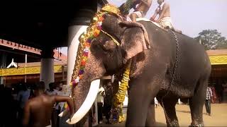 ERNAKULAM TEMPLE FESTIVAL 2019 PAKALPOORAM